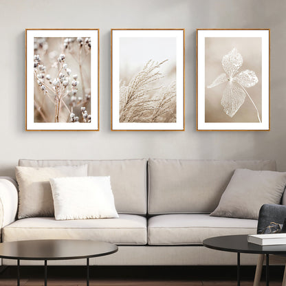 Wall Art 60cmx90cm Dried Flower 3 Sets Wood Frame Canvas