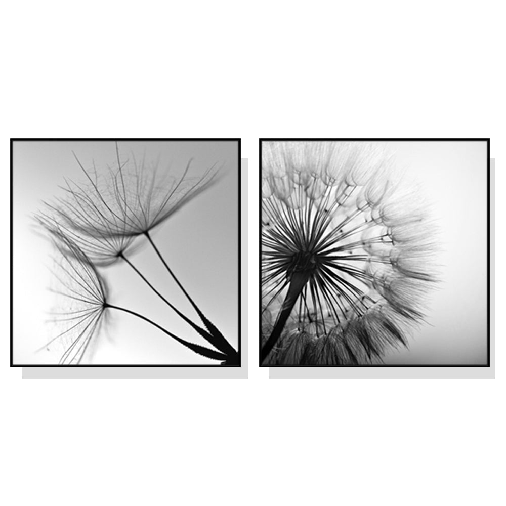 Wall Art 90cmx90cm Black and white dandelion 2 Sets Black Frame Canvas