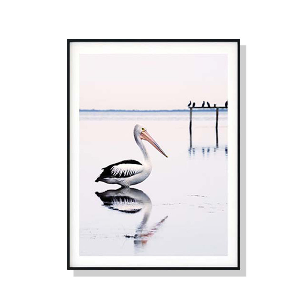 Wall Art 100cmx150cm Pelican Black Frame Canvas