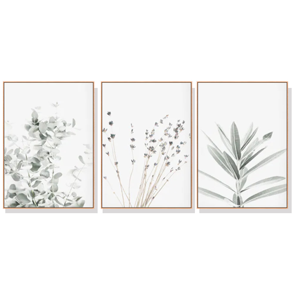 Wall Art 80cmx120cm Lavender Eucalyptus 3 Sets Wood Frame Canvas